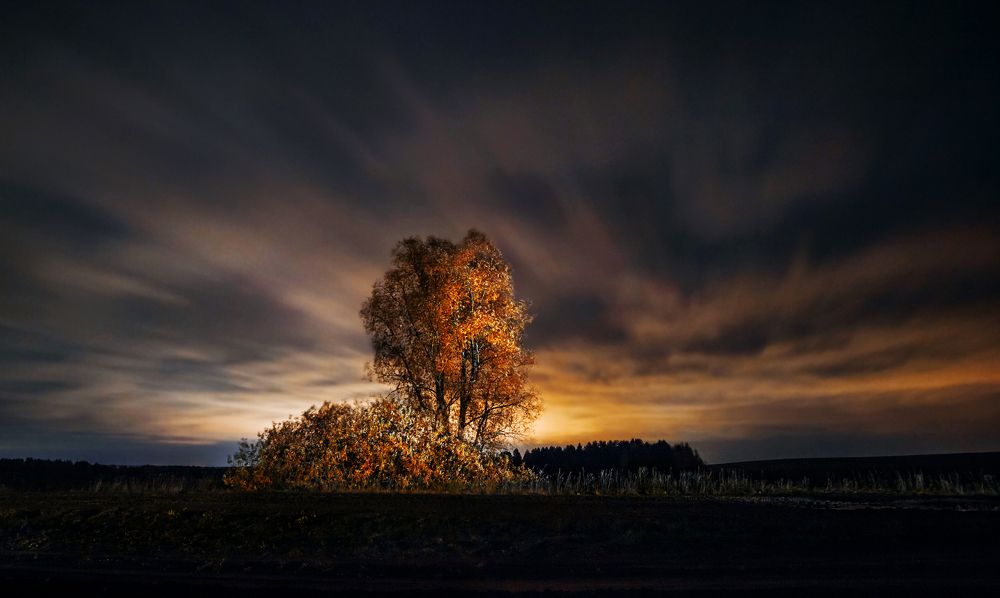 under a blanket of night