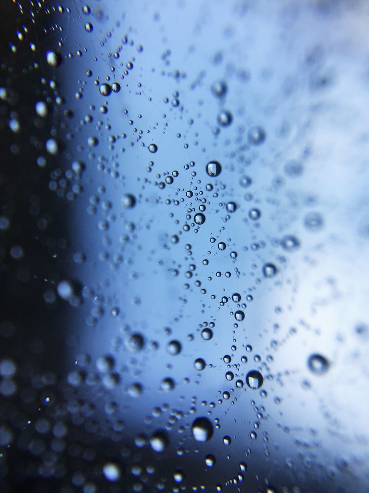 Photograph by Юлия Трикашная