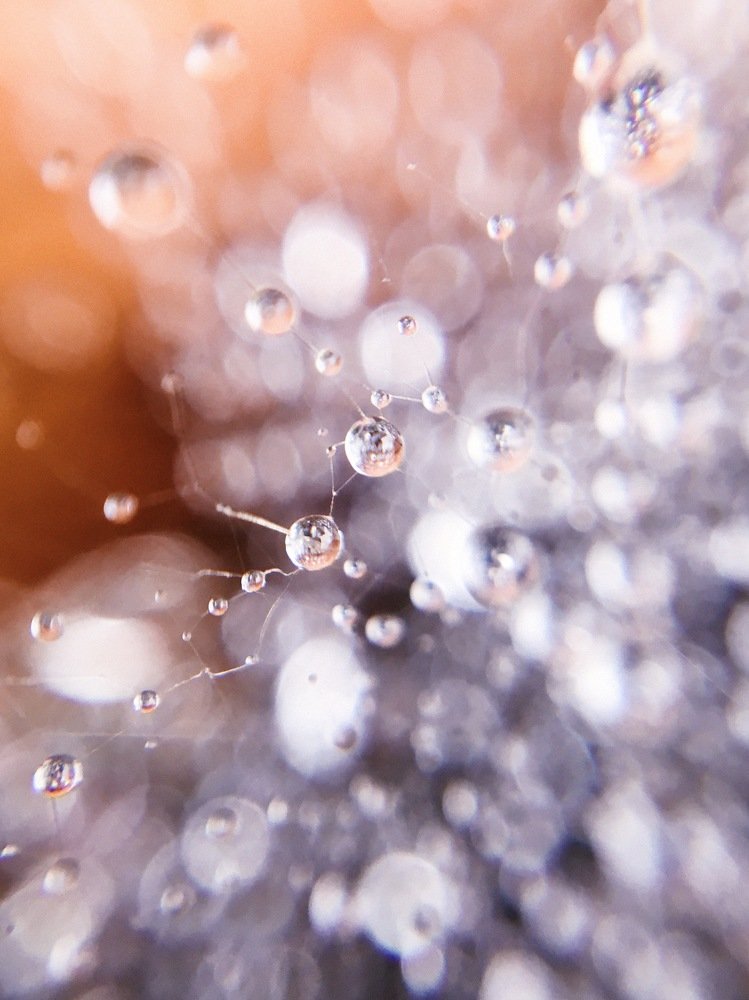 Photograph by Юлия Трикашная