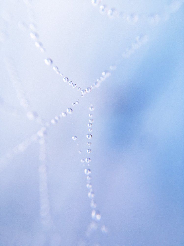 Photograph by Юлия Трикашная