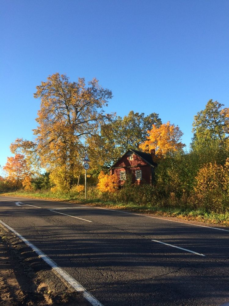 Все краски осени