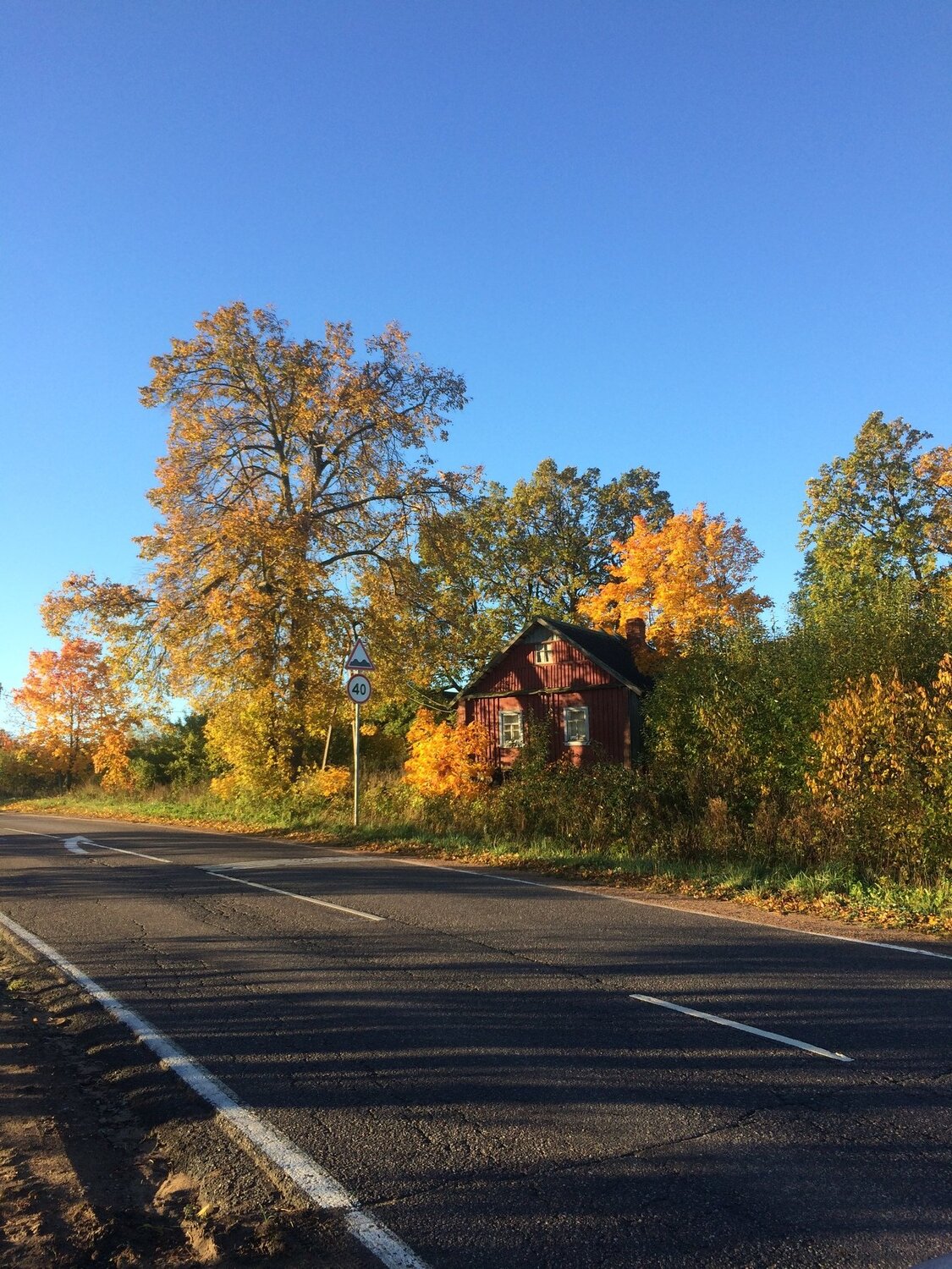 Все краски осени