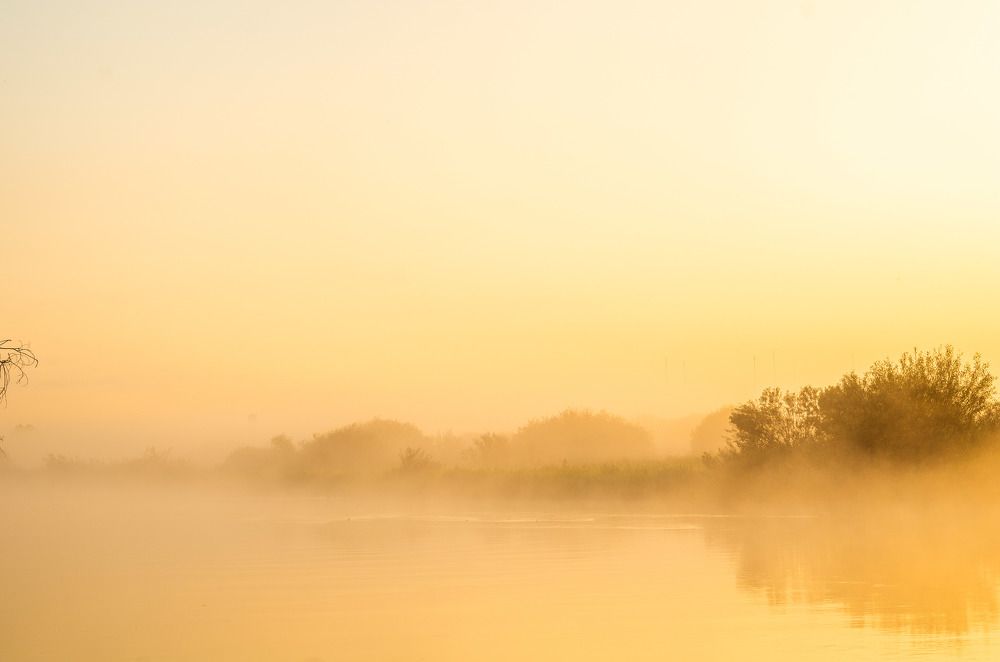 Photograph by Евгений Новицкий