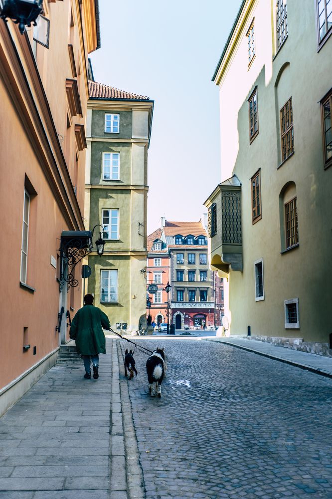 Дама с собаками