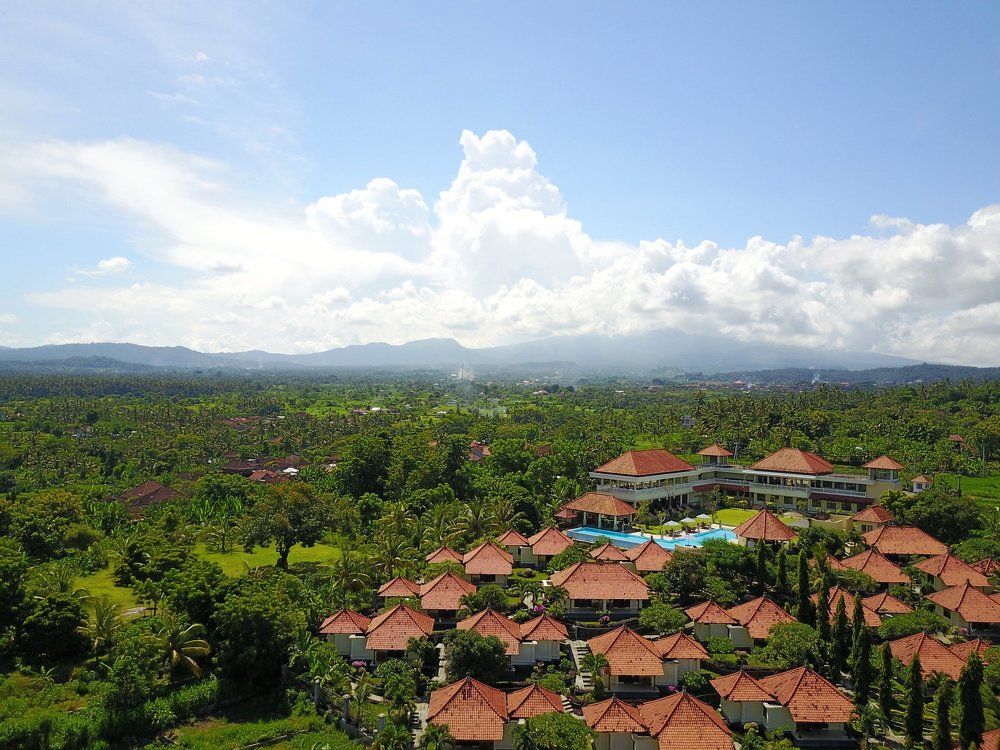 Зеленый остров