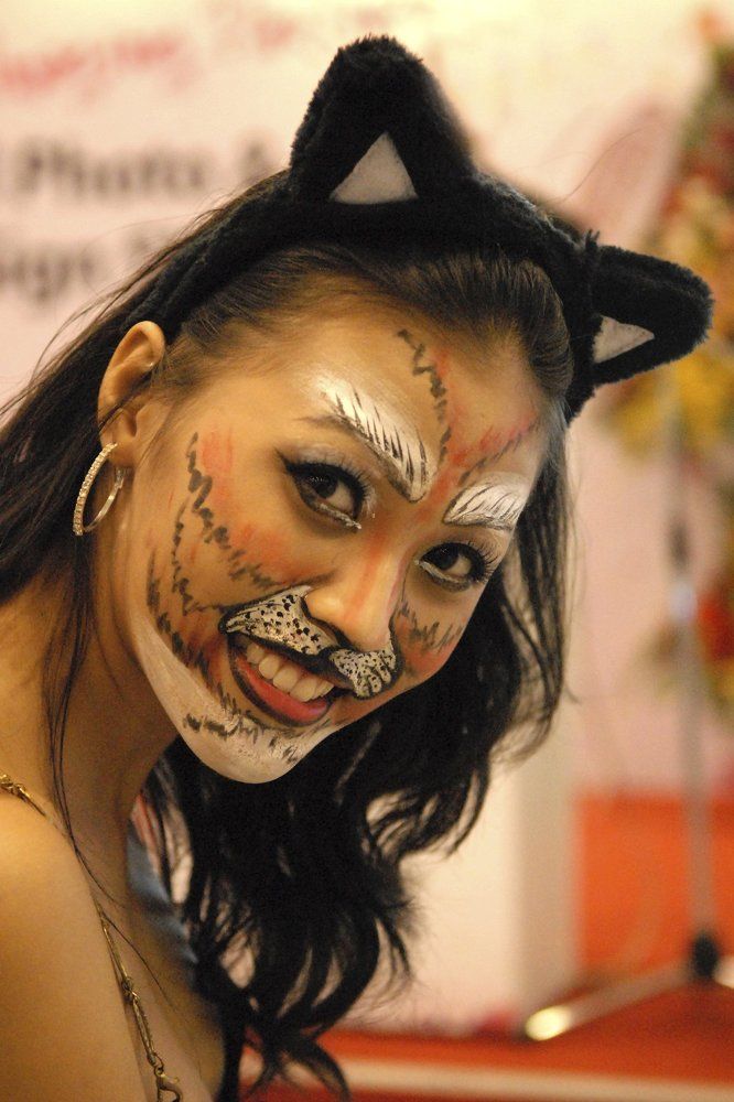 TRANG TRÍ MẶT MÈO