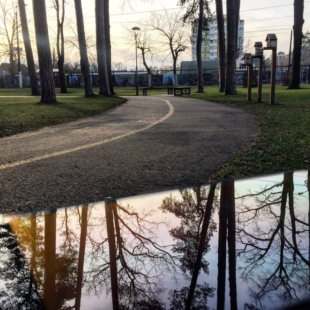 Зеркало природы