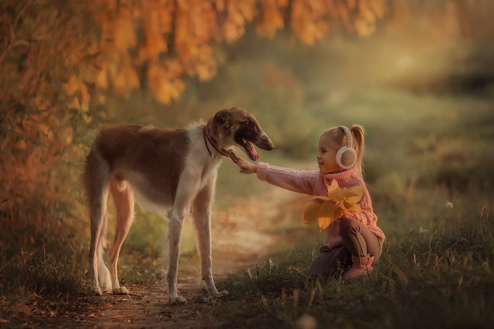 Осеняя прогулка с другом