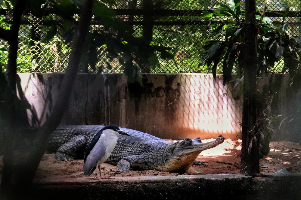 Rest time.
