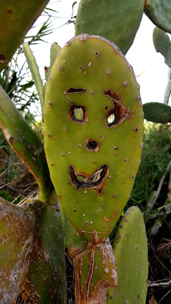 "smile"