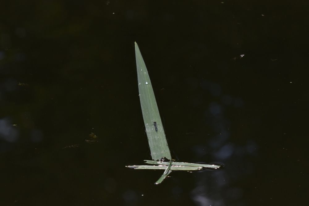 Photograph by Вячеслав Камышев