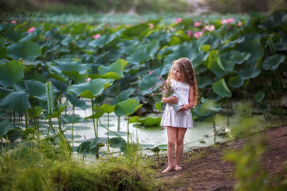 Озеро с лотосами