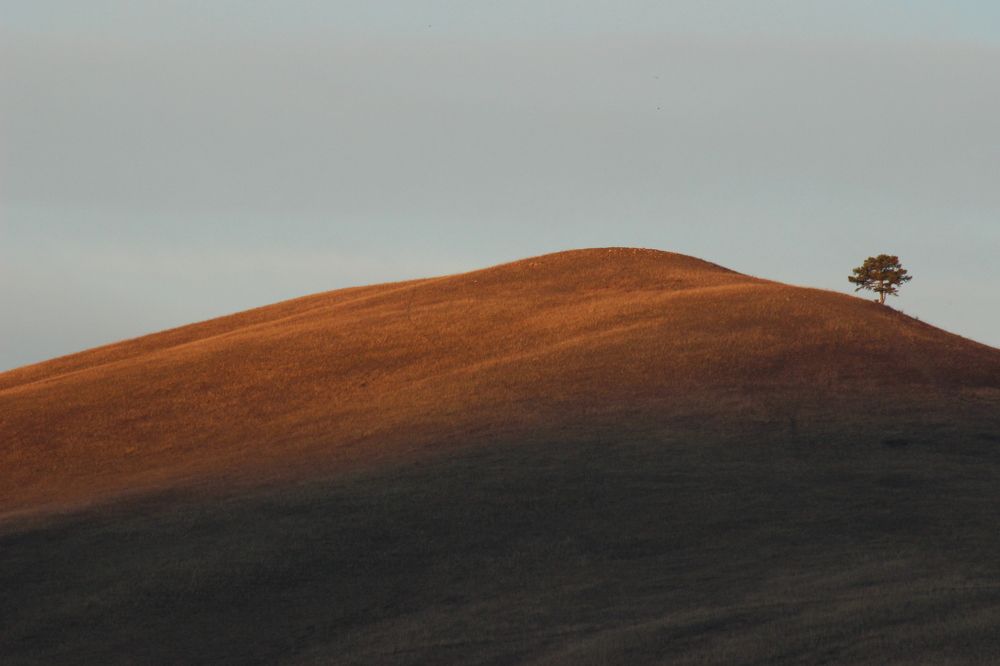 Одиночество