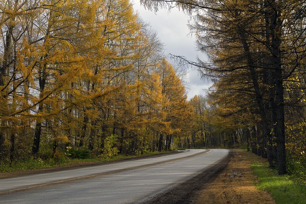 Уж небо осенью ...
