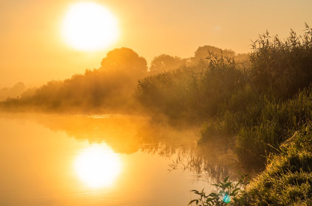 Photograph by Евгений Новицкий