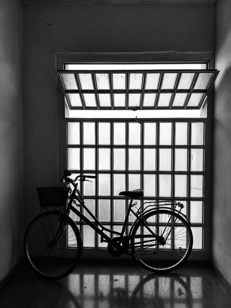 Photograph by Екатерина