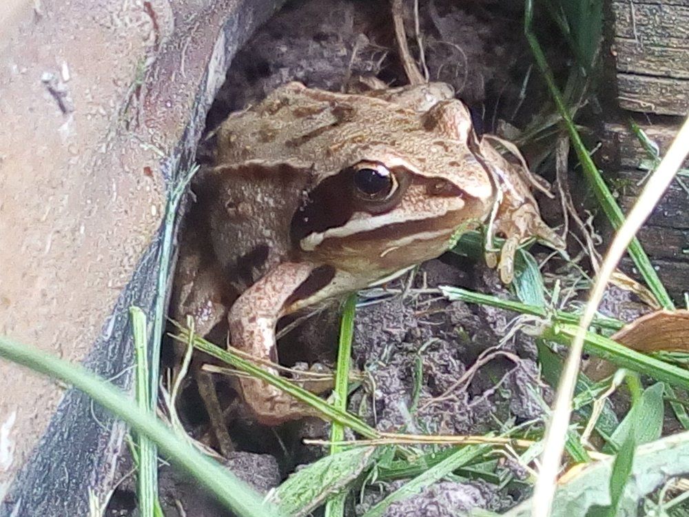 "Никуда от вас не спрячешься!.."
