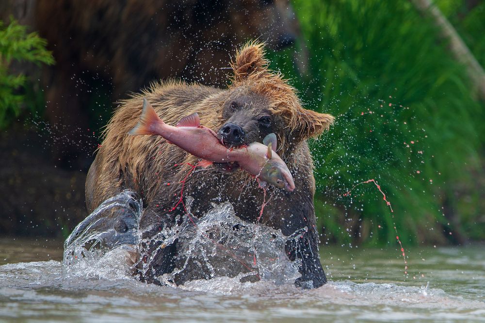 УДАЧНЫЙ УЛОВ