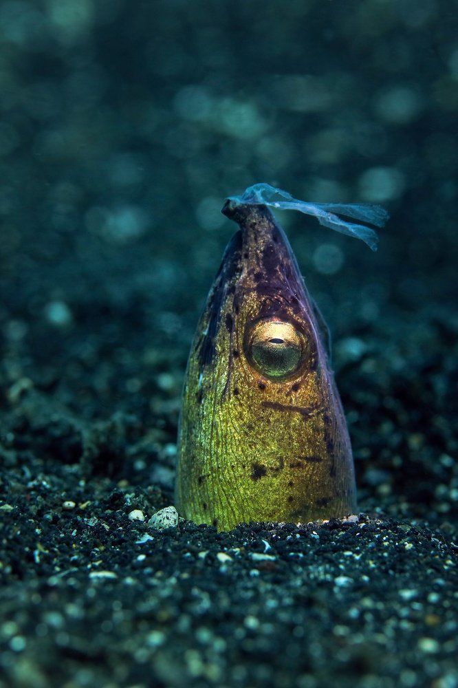 Нос по ветру