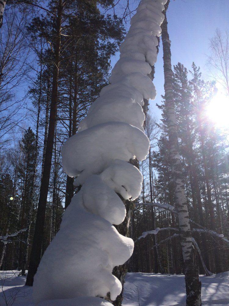 снежные ступеньки