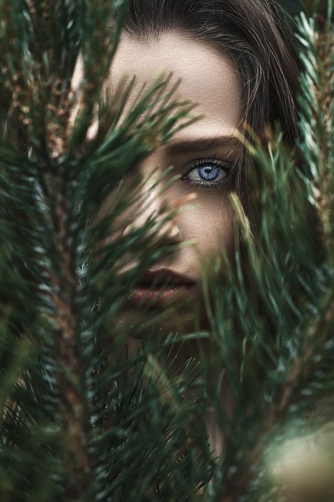 Спрятавшись