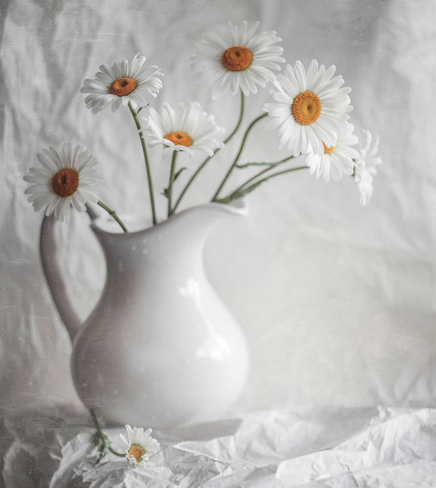 привет ромашки*