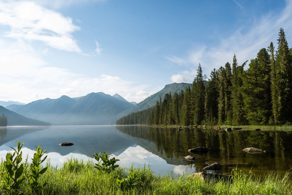 Photograph by Галина Канеева