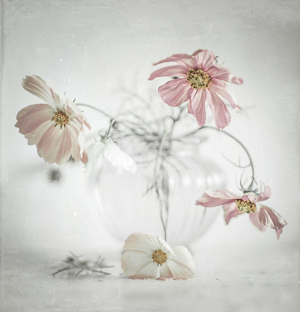 нежное утро*