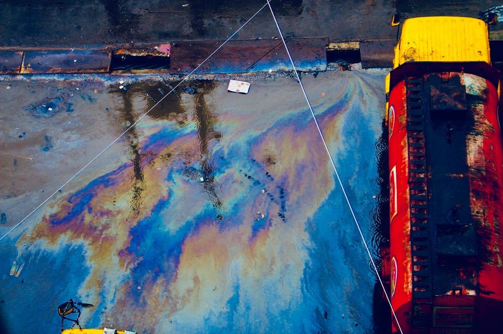 Photograph by sojib ahamed