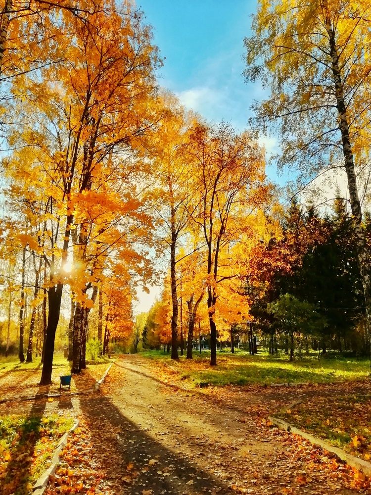 Русское золото.
