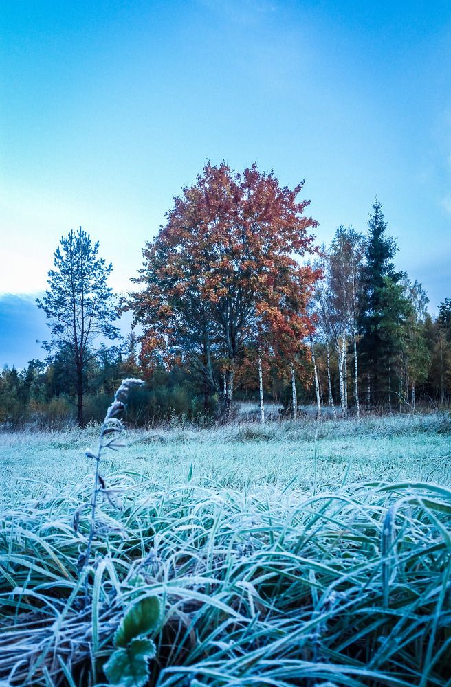 Winter is coming