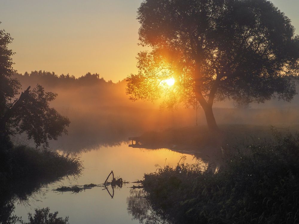 утро у реки