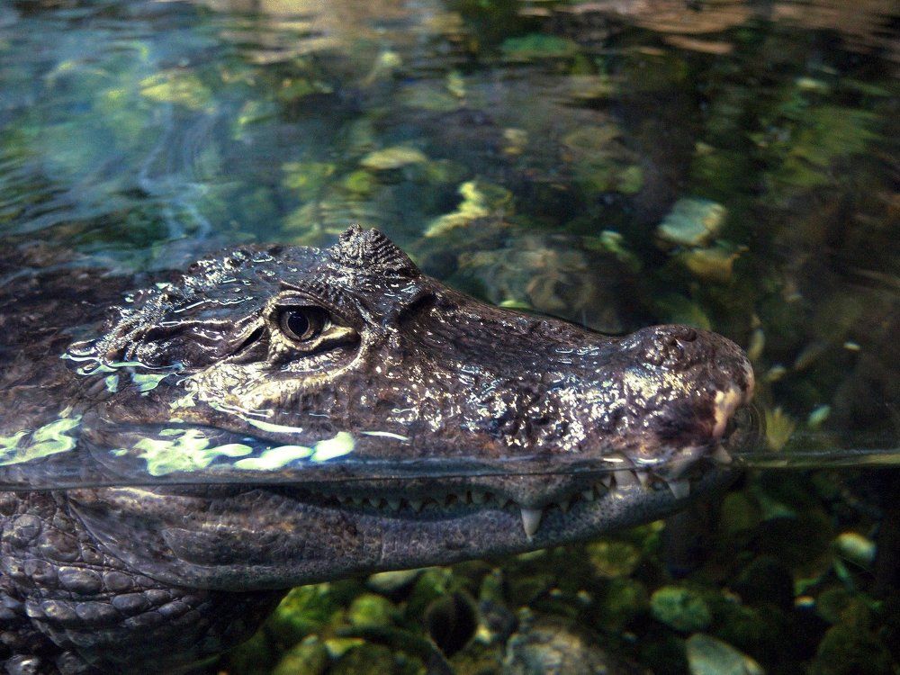 Photograph by Егор Охрименко