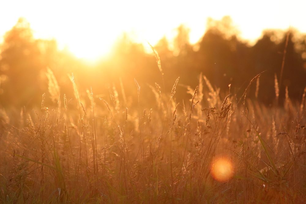 Осенний закат