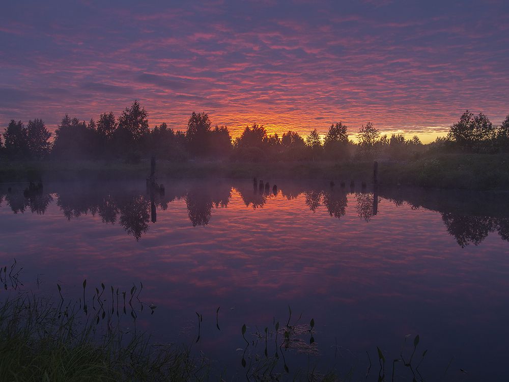 Пурпурные небеса