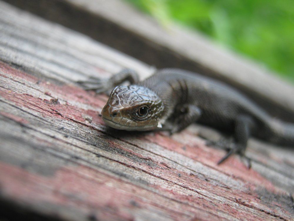 Photograph by Ольга Веткина