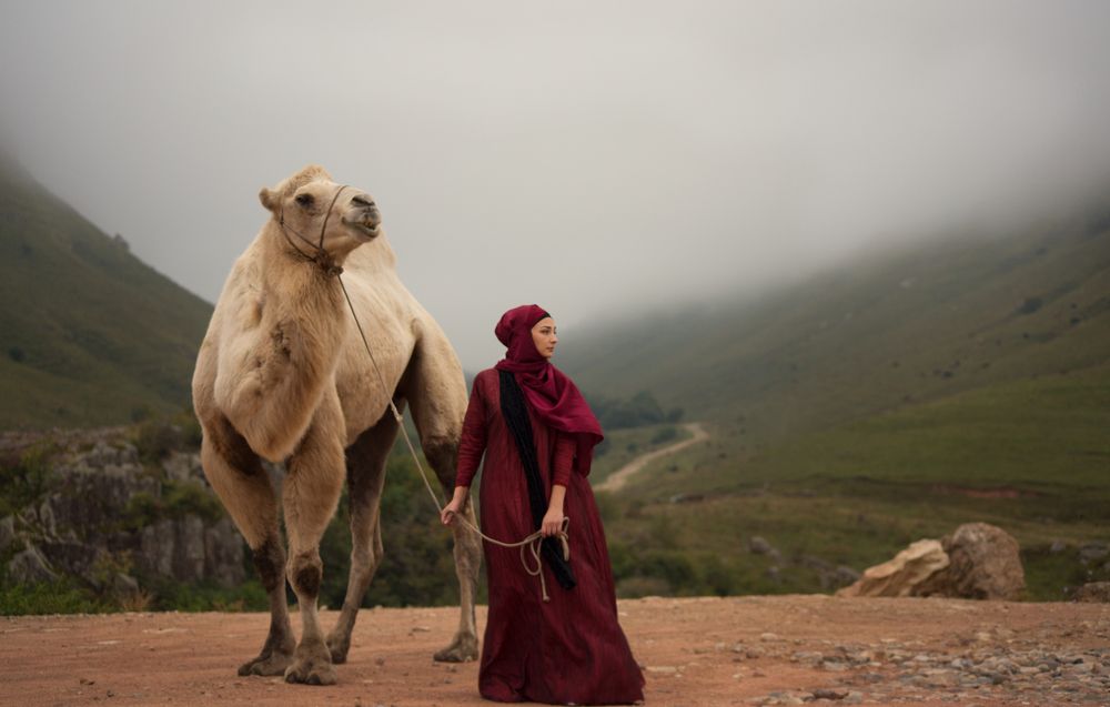 Одна история