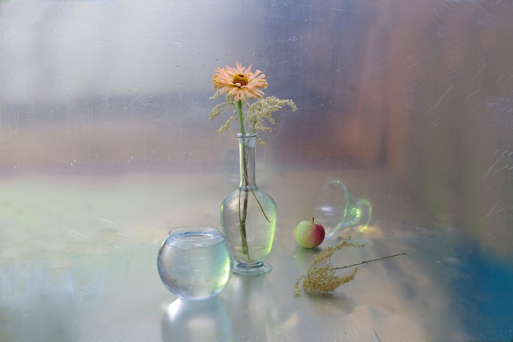 Цветок в графине