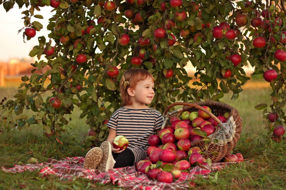 Девочка в яблочном саду