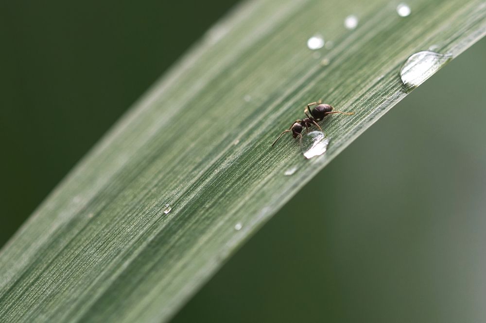 Photograph by Вячеслав Камышев