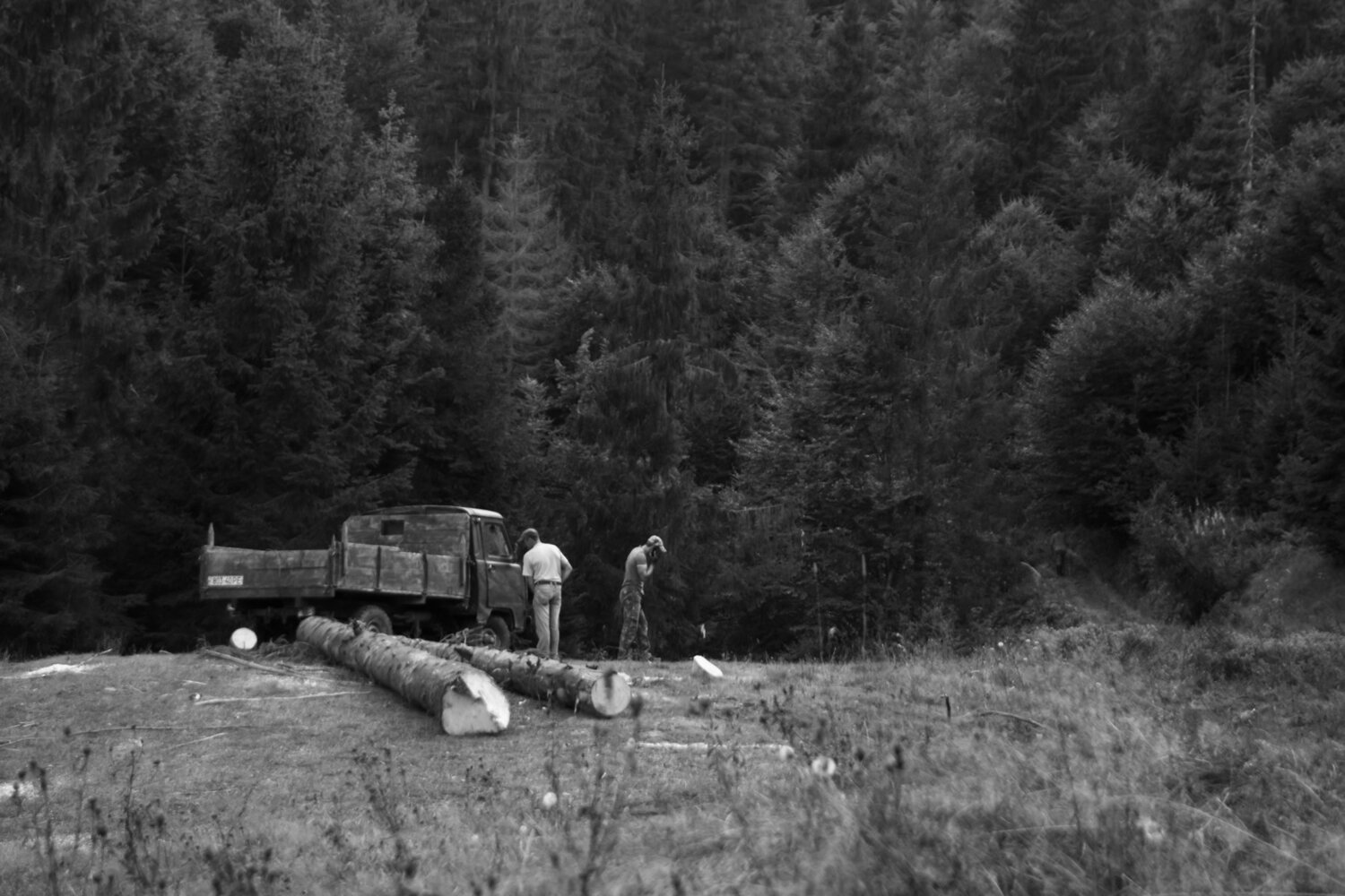 Deforestation of the Carpathian Mountains
