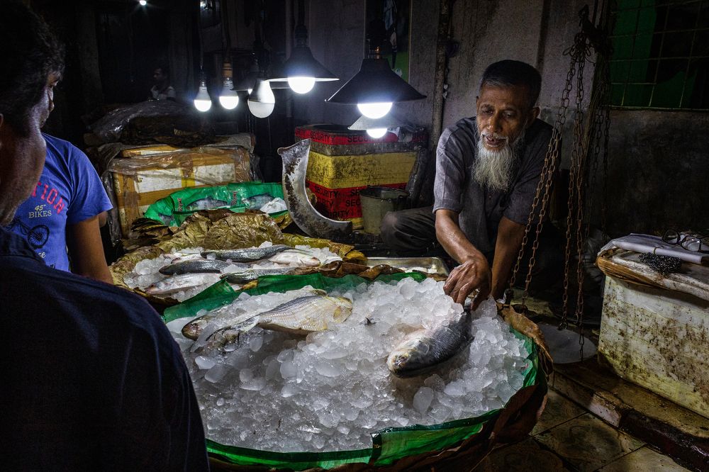 The Moment of Fish market