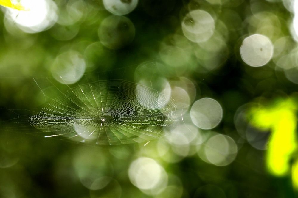 A sweet house in the Galaxy