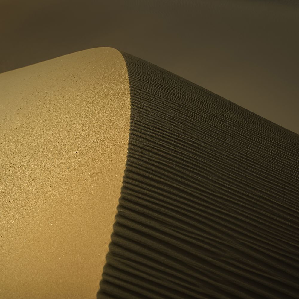 Dune
