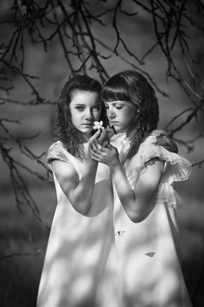 Photograph by Надежда Гацко