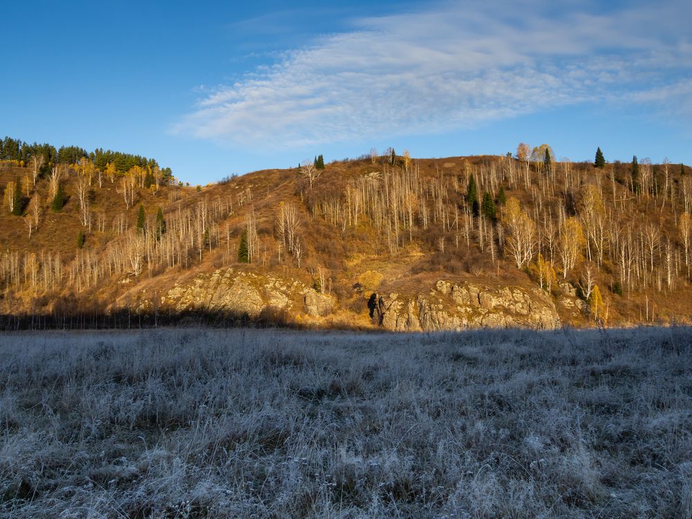 Золото на серебре