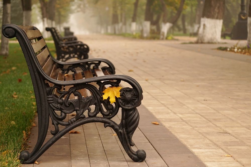 Photograph by Александр Попов