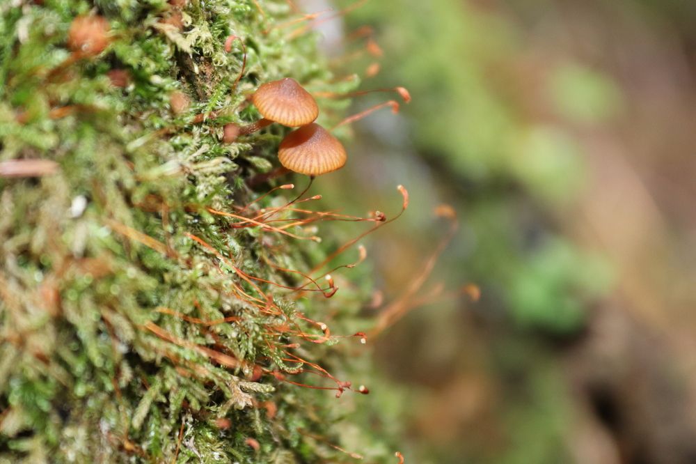 Вперёд к свету