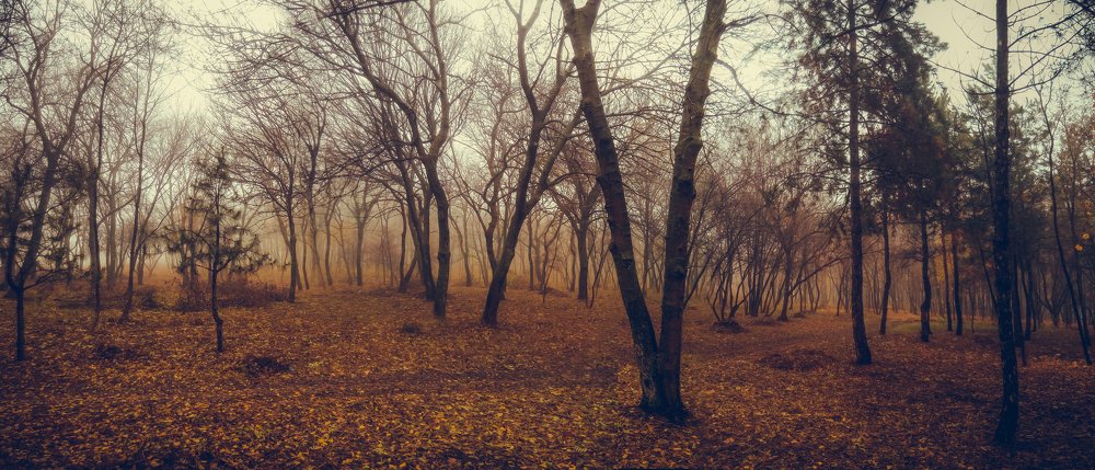 Осенняя тишина