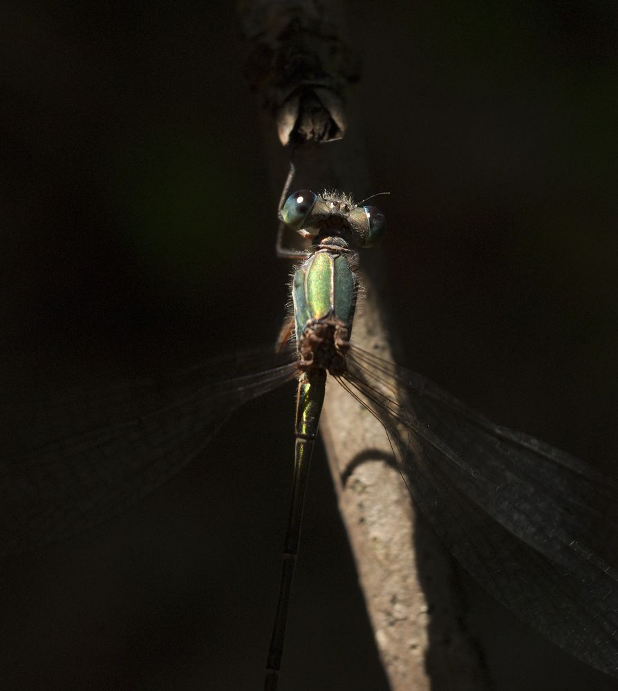 Photograph by Игорь Мальцев